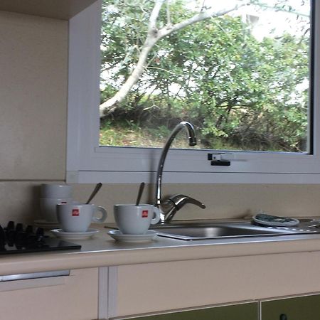 Camping Le Soline Casciano Di Murlo Room photo