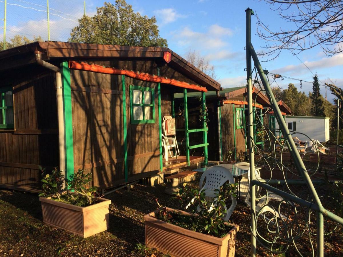 Camping Le Soline Casciano Di Murlo Exterior photo