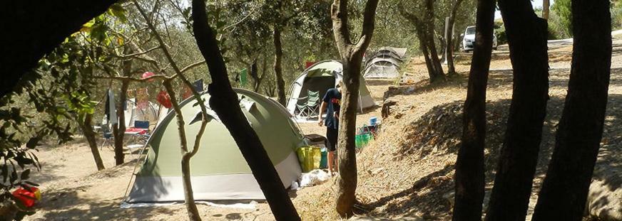 Camping Le Soline Casciano Di Murlo Exterior photo