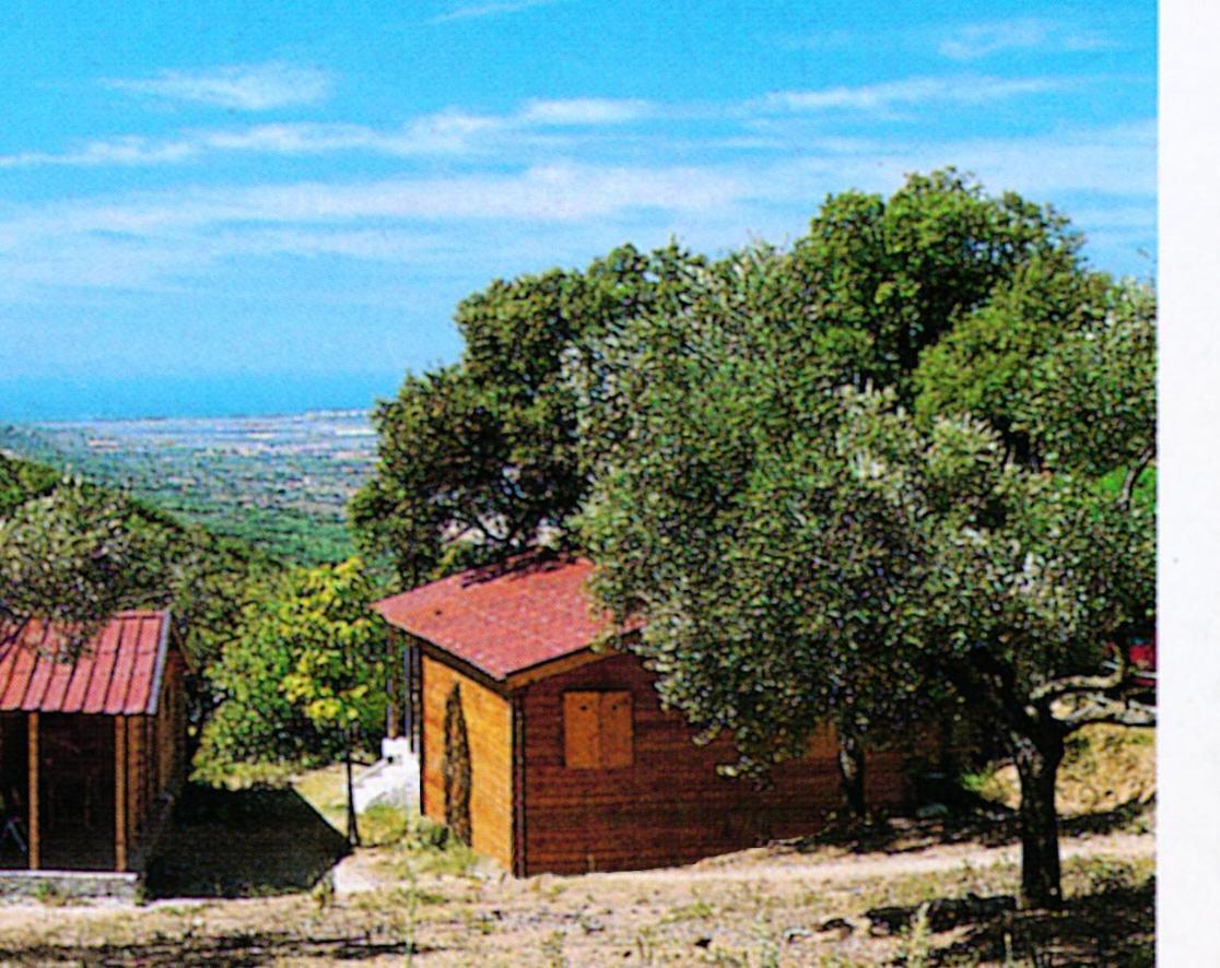 Camping Le Soline Casciano Di Murlo Exterior photo
